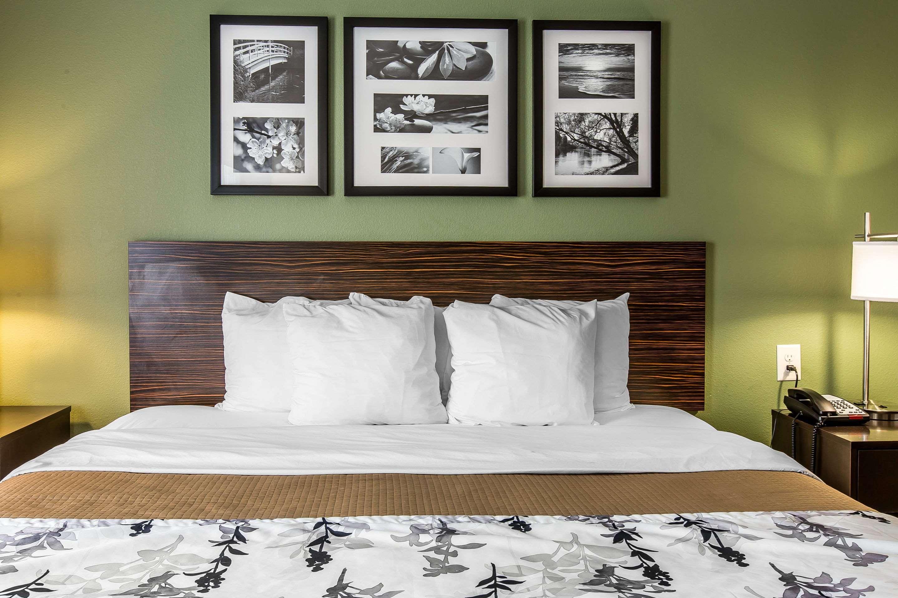 Sleep & North Mount Olive